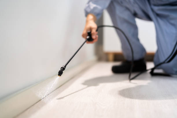Licensed Termite Control service in Minier, IL - Nex Pest Control