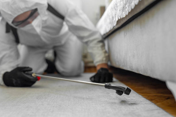 Professional Termite Control technician working in Minier, IL