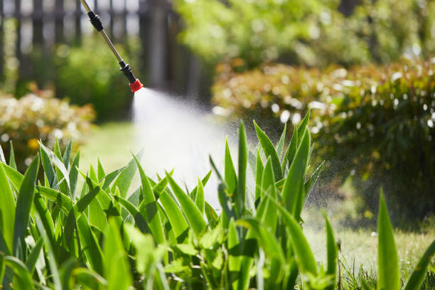 24/7 Emergency Termite Control experts in Minier, IL