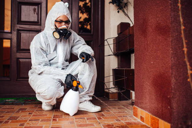 Reliable Termite Control contractor in Minier, IL by Nex Pest Control