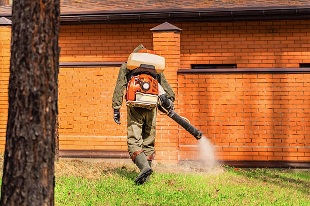 Top rated local Termite Control specialists in Minier, IL